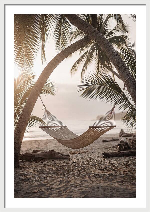 Tropical Serenity In A Hammock