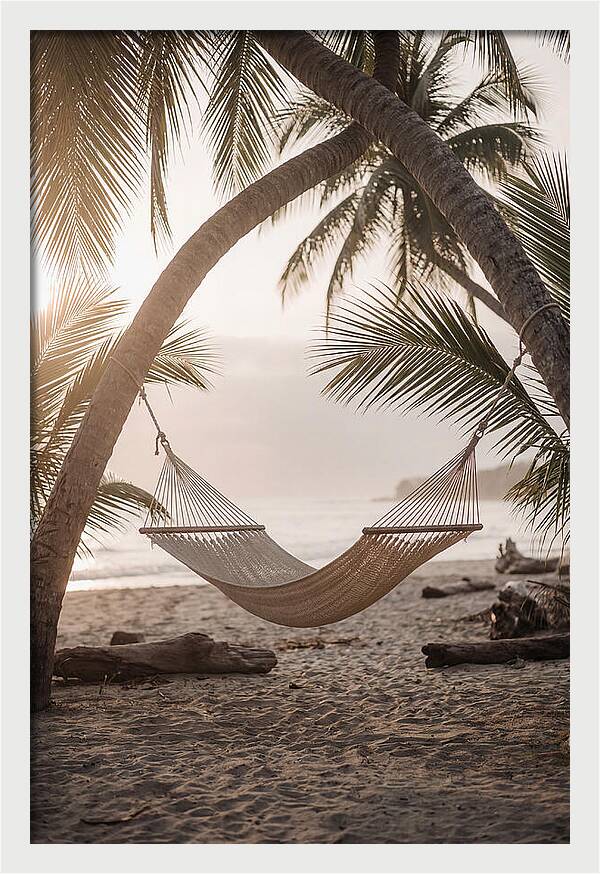 Tropical Serenity In A Hammock