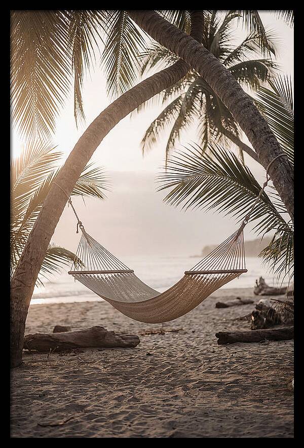 Tropical Serenity In A Hammock