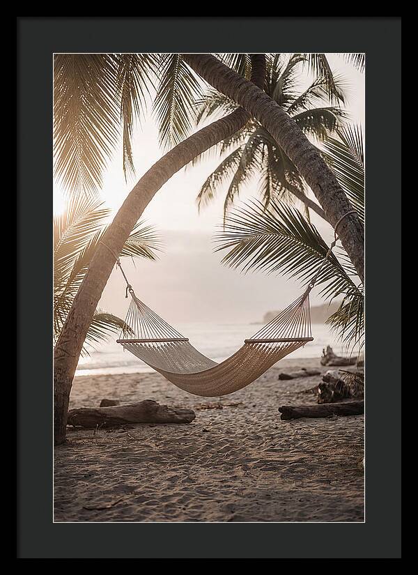 Tropical Serenity In A Hammock