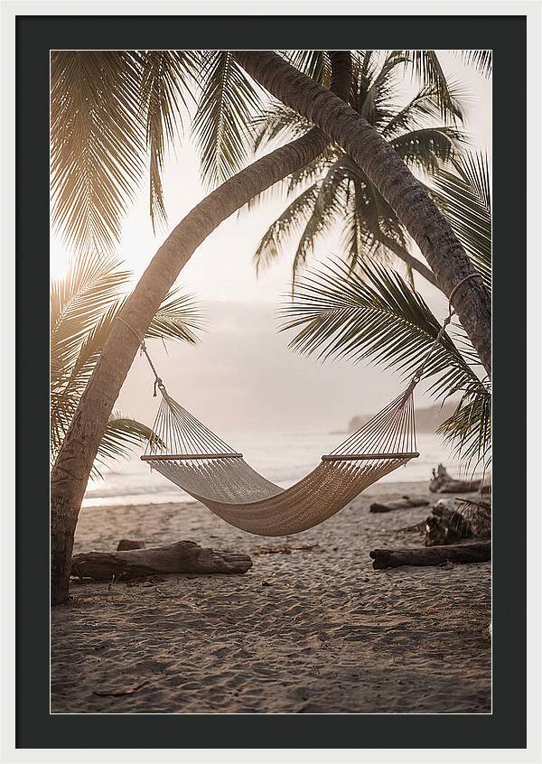 Tropical Serenity In A Hammock