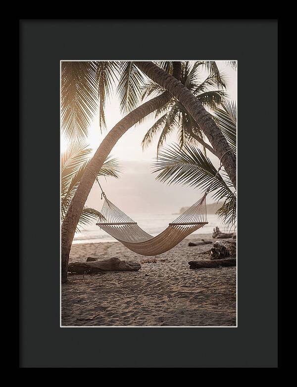 Tropical Serenity In A Hammock
