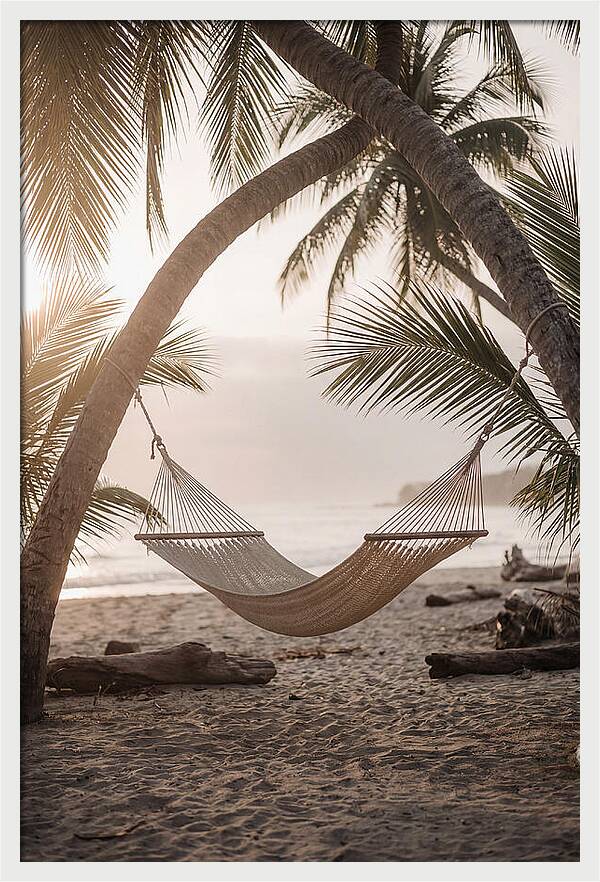 Tropical Serenity In A Hammock