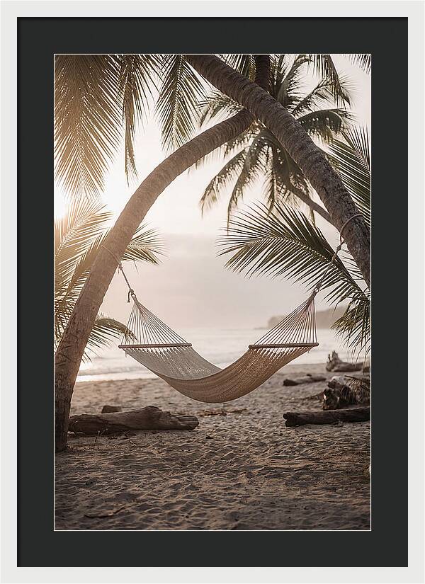 Tropical Serenity In A Hammock