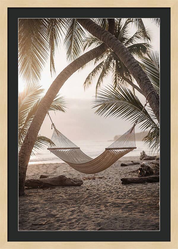 Tropical Serenity In A Hammock