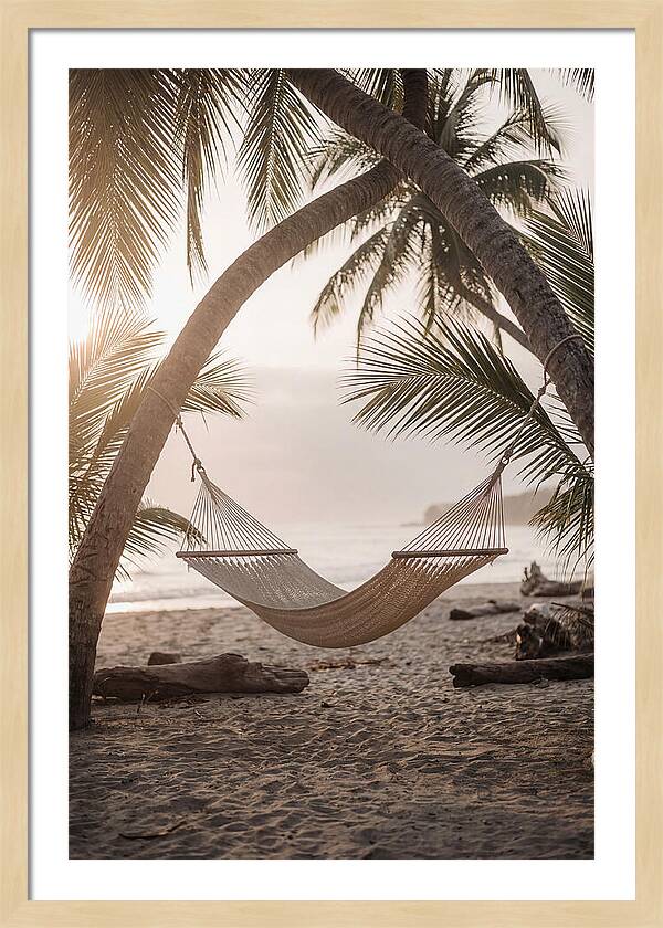 Tropical Serenity In A Hammock
