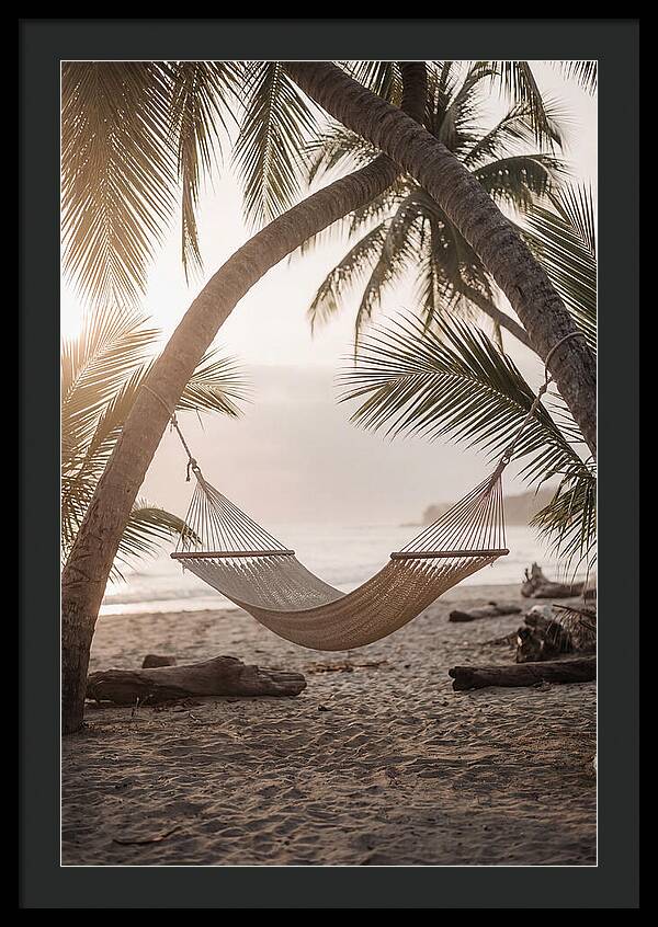 Tropical Serenity In A Hammock