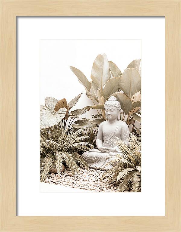 Tropical Serenity With Buddha