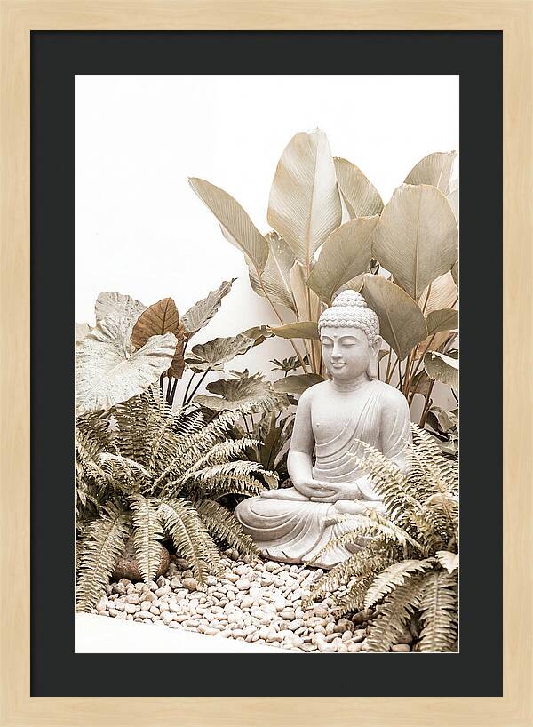 Tropical Serenity With Buddha