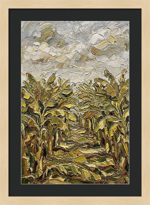 Tropical Tranquility In Banana Grove