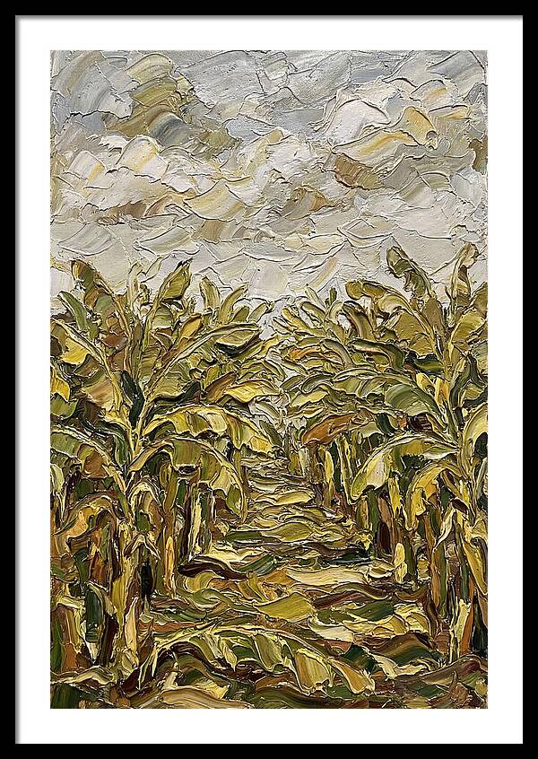 Tropical Tranquility In Banana Grove