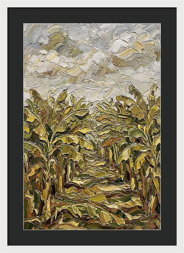 Tropical Tranquility In Banana Grove