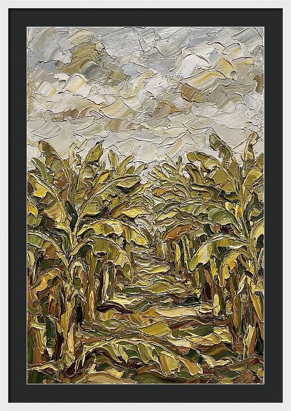 Tropical Tranquility In Banana Grove