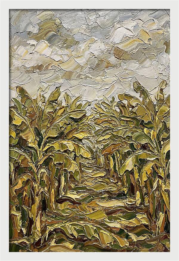 Tropical Tranquility In Banana Grove