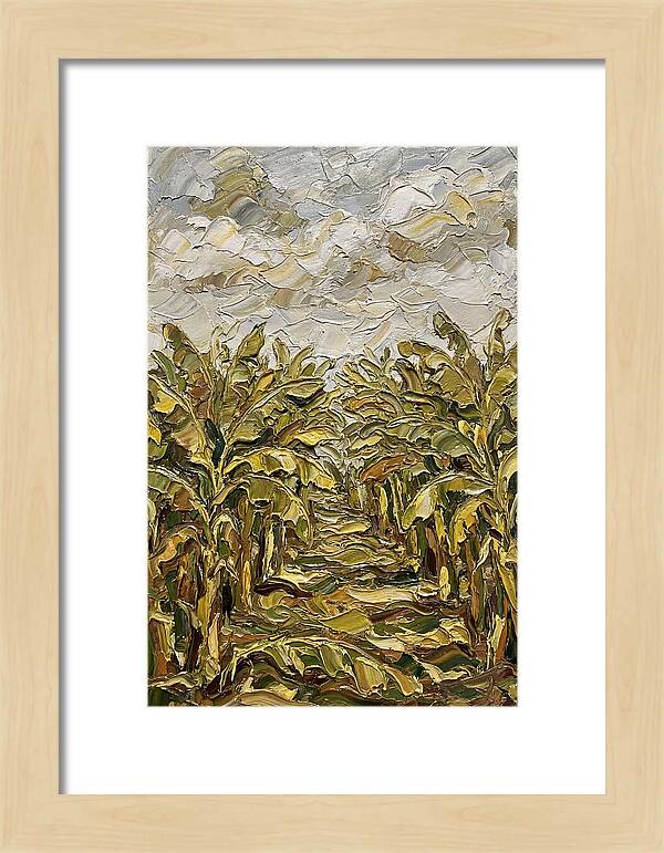 Tropical Tranquility In Banana Grove