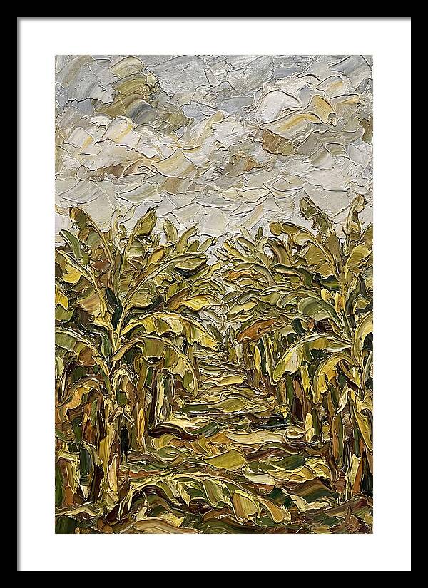 Tropical Tranquility In Banana Grove