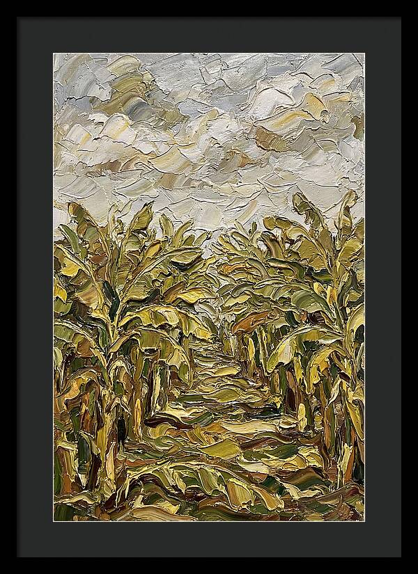 Tropical Tranquility In Banana Grove