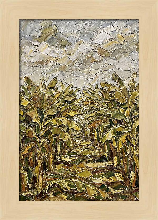 Tropical Tranquility In Banana Grove