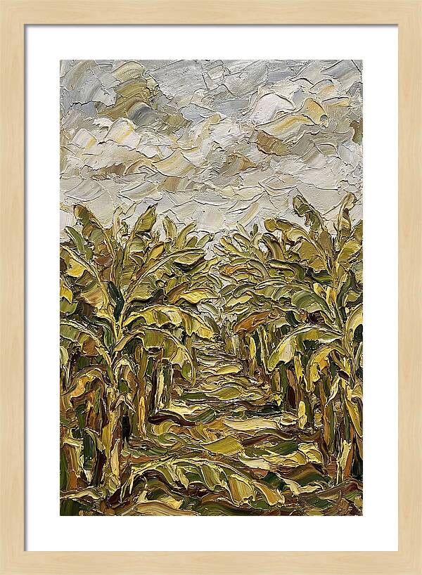 Tropical Tranquility In Banana Grove