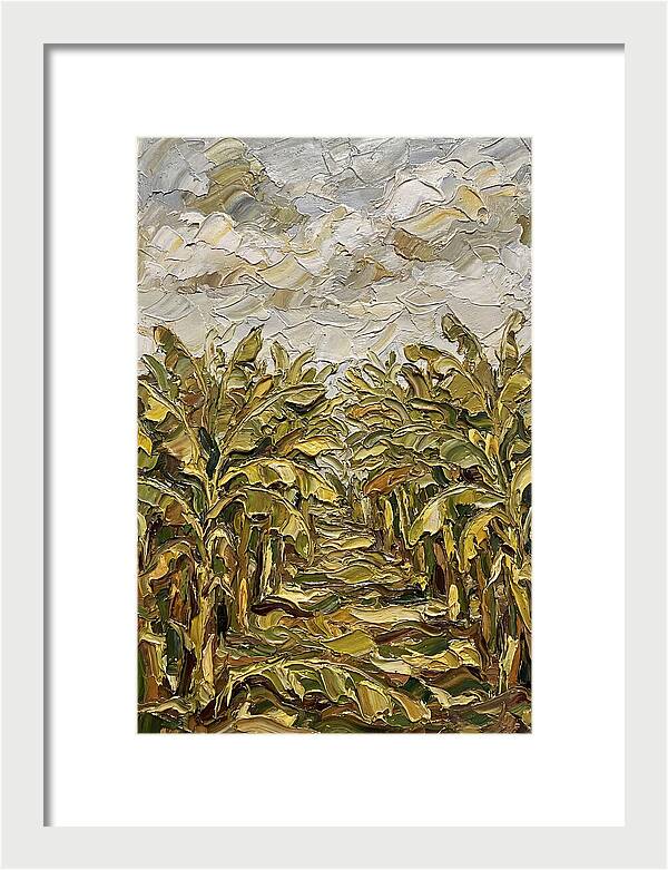 Tropical Tranquility In Banana Grove
