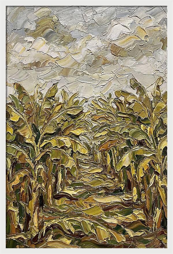 Tropical Tranquility In Banana Grove