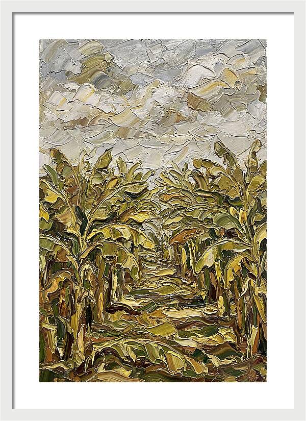 Tropical Tranquility In Banana Grove