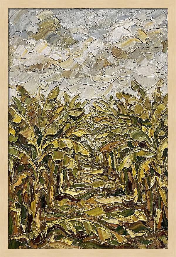 Tropical Tranquility In Banana Grove