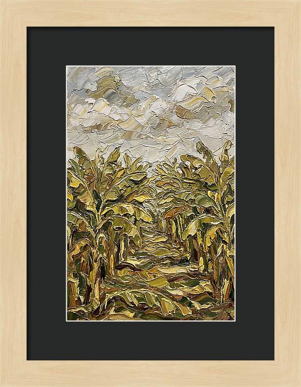 Tropical Tranquility In Banana Grove