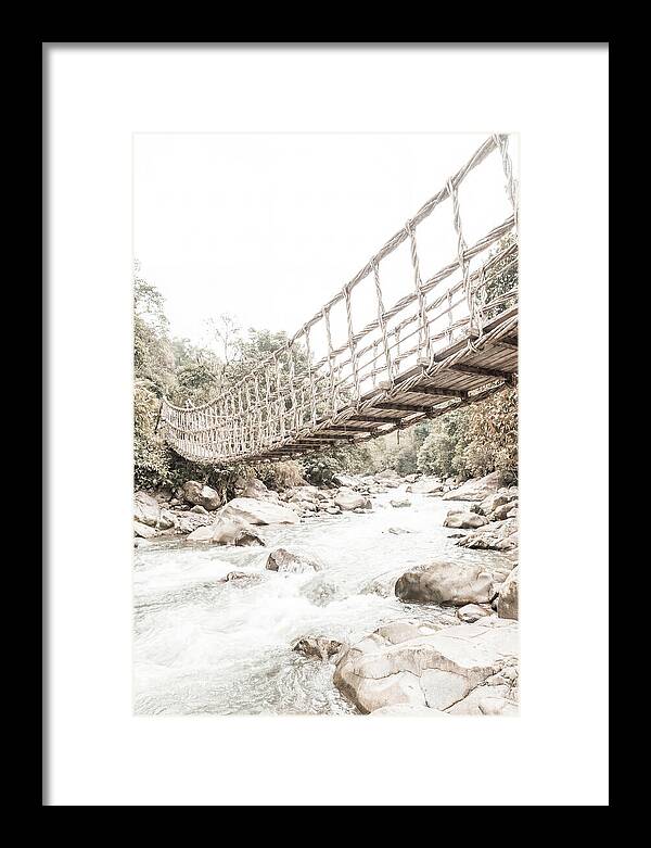 Tropical Vine Bridge Over Rushing Jungle