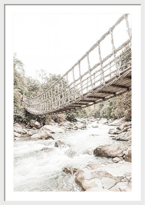 Tropical Vine Bridge Over Rushing Jungle