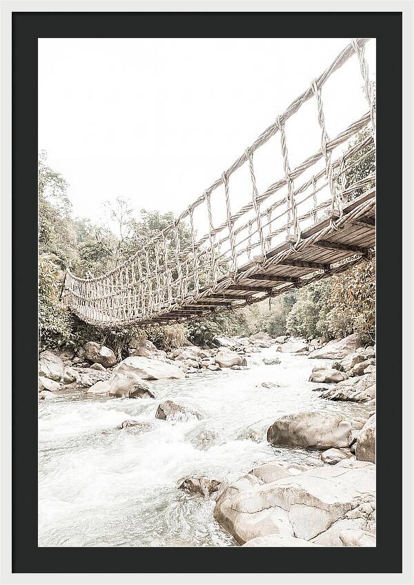 Tropical Vine Bridge Over Rushing Jungle