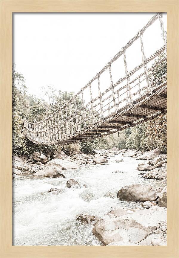 Tropical Vine Bridge Over Rushing Jungle