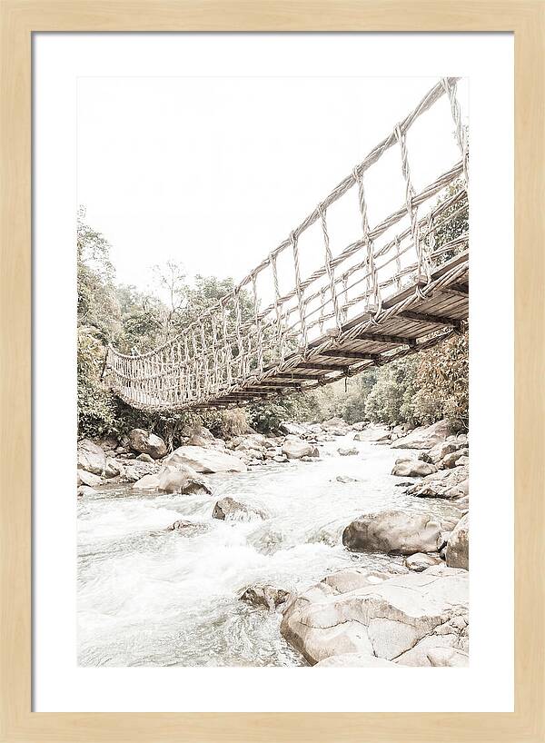 Tropical Vine Bridge Over Rushing Jungle
