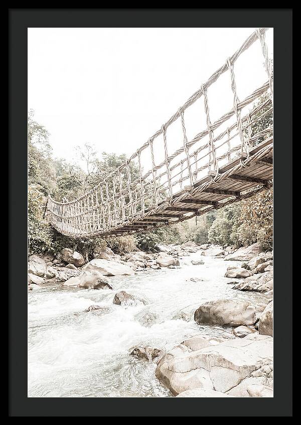 Tropical Vine Bridge Over Rushing Jungle