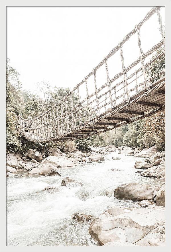 Tropical Vine Bridge Over Rushing Jungle