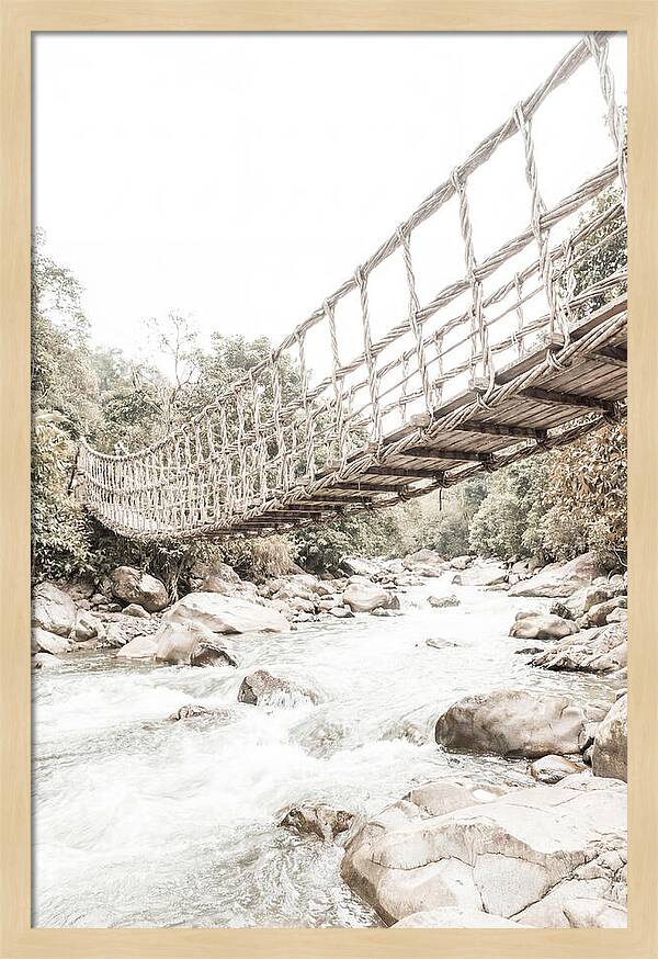 Tropical Vine Bridge Over Rushing Jungle