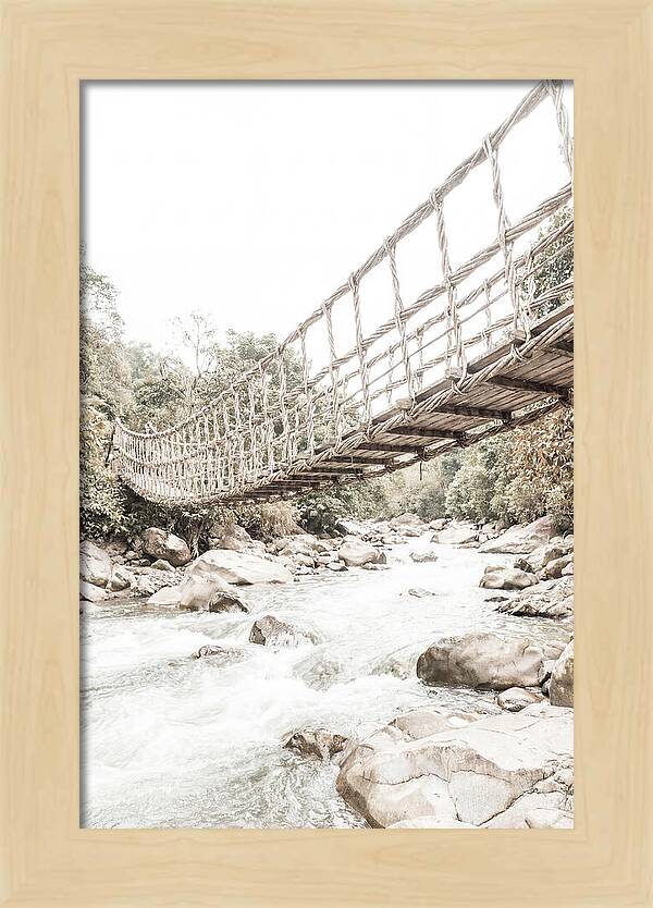 Tropical Vine Bridge Over Rushing Jungle