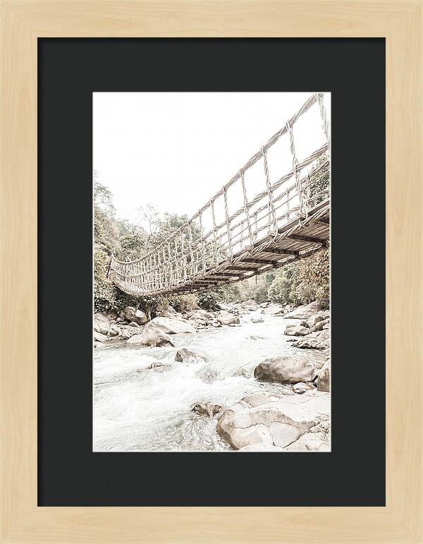 Tropical Vine Bridge Over Rushing Jungle