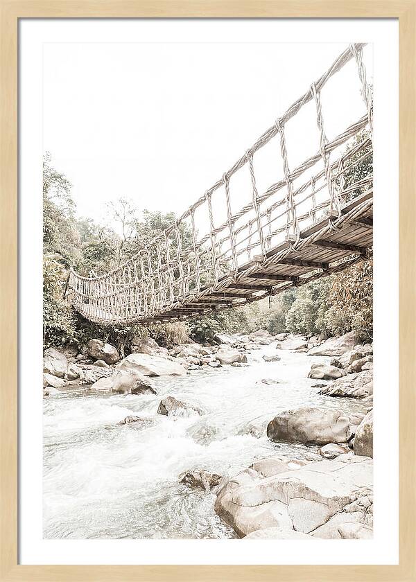 Tropical Vine Bridge Over Rushing Jungle