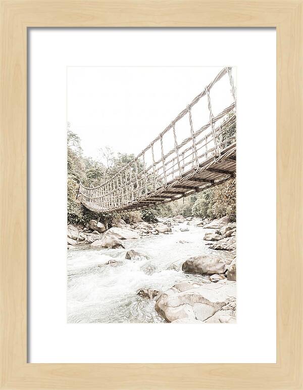 Tropical Vine Bridge Over Rushing Jungle