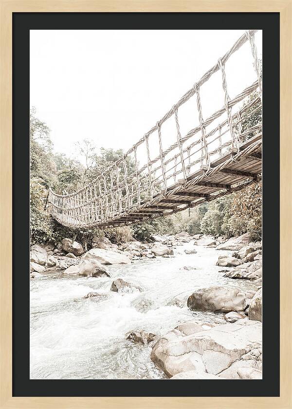 Tropical Vine Bridge Over Rushing Jungle
