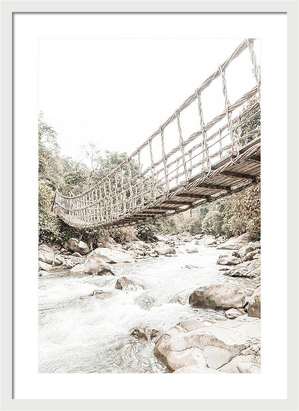 Tropical Vine Bridge Over Rushing Jungle