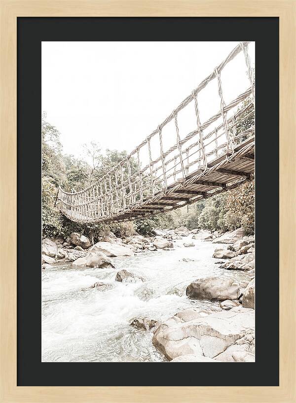 Tropical Vine Bridge Over Rushing Jungle