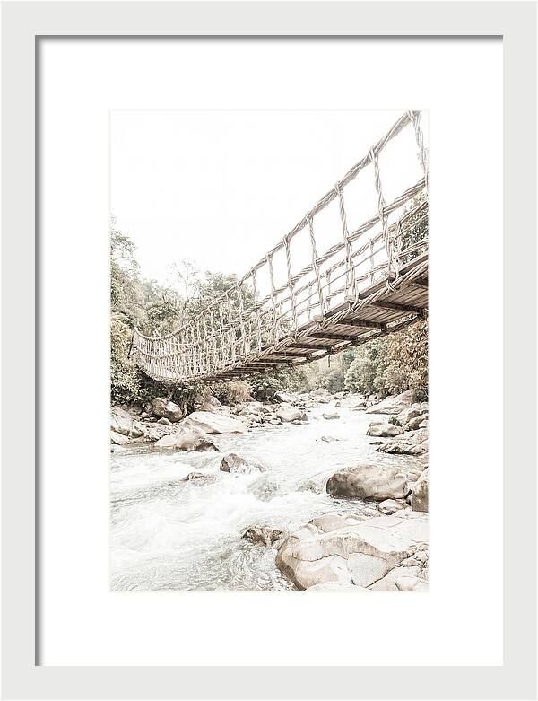Tropical Vine Bridge Over Rushing Jungle