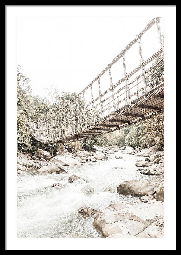 Tropical Vine Bridge Over Rushing Jungle