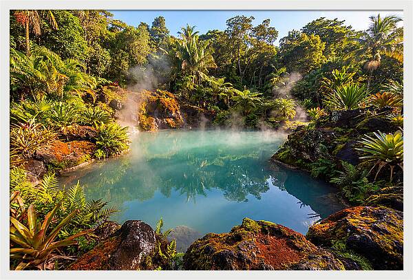 Tropical Volcanic Hot Spring Oasis