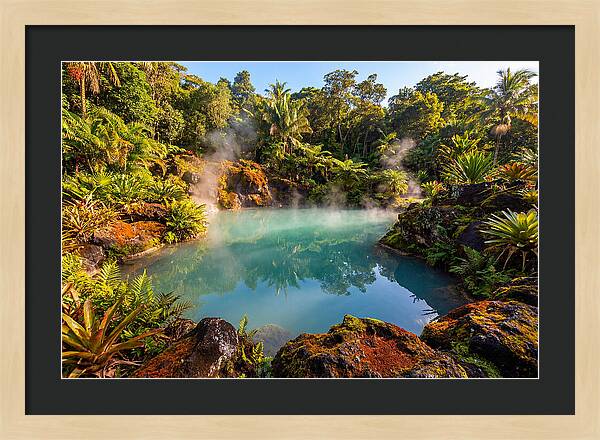 Tropical Volcanic Hot Spring Oasis