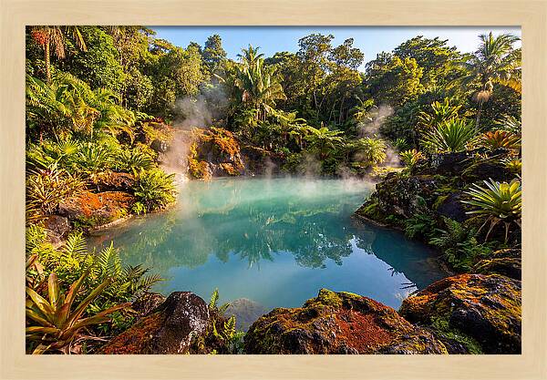 Tropical Volcanic Hot Spring Oasis