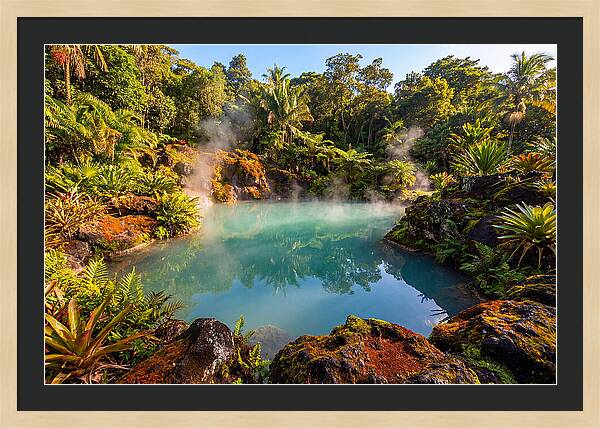 Tropical Volcanic Hot Spring Oasis