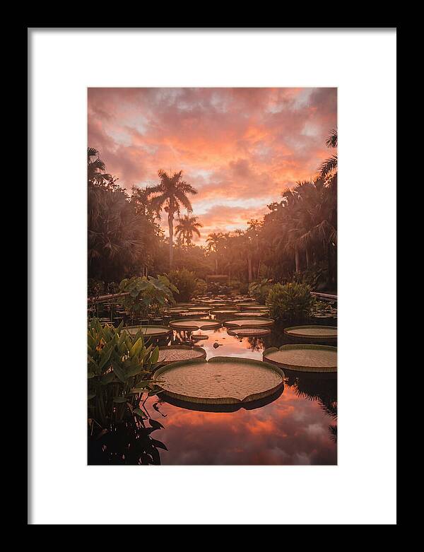 Tropical Water Garden Serenity